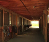 JMJ Open barn.png