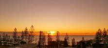 20210604_063721.jpg
