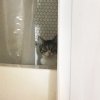 1623119545874.jpeg