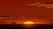 Lion King.jpg