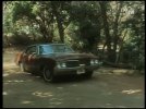 FR-2.19-02a-TBS-Jungle.JPG