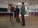 2.23-04-WillRogers-HistoricStable.JPG