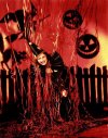 crawfordhalloween.jpg