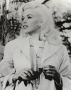 1719602284541.png