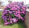 20190630_124056.jpg