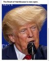 trumphair.jpg