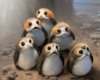 Porgs-370x296.jpg