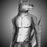 The Prairie Wolf